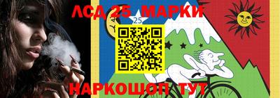 Альфа ПВП Камышлов