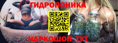 Альфа ПВП Камышлов