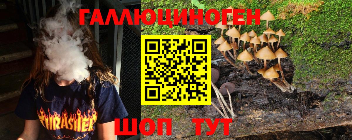 Красноярск  Галлюциногенные грибы Psilocybine cubensis  продажа наркотиков  Псилоцибиновые грибы Magic Shrooms  Вход с VPN 